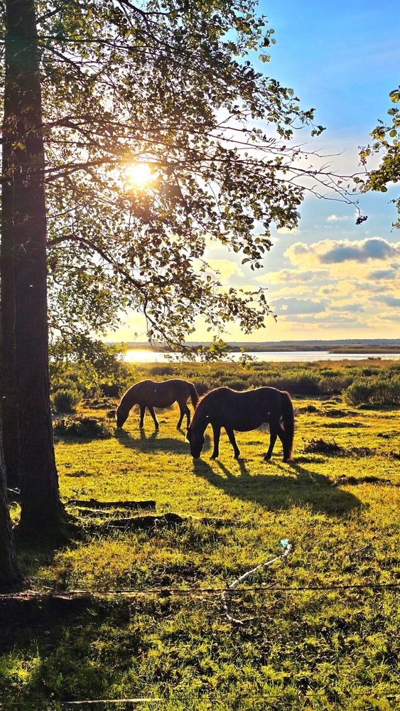 Photograph by Наталия Короленко