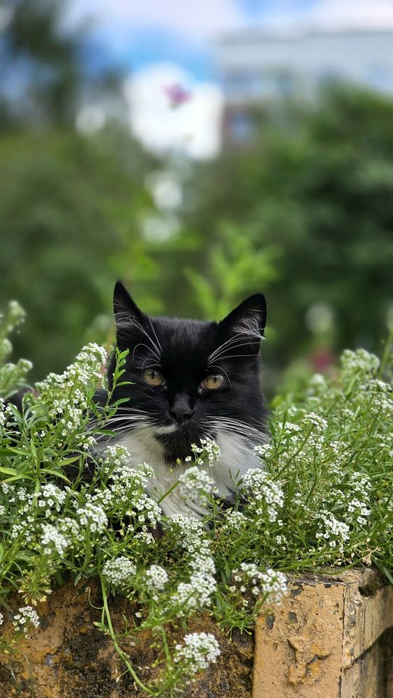 Photograph by Наталия Короленко