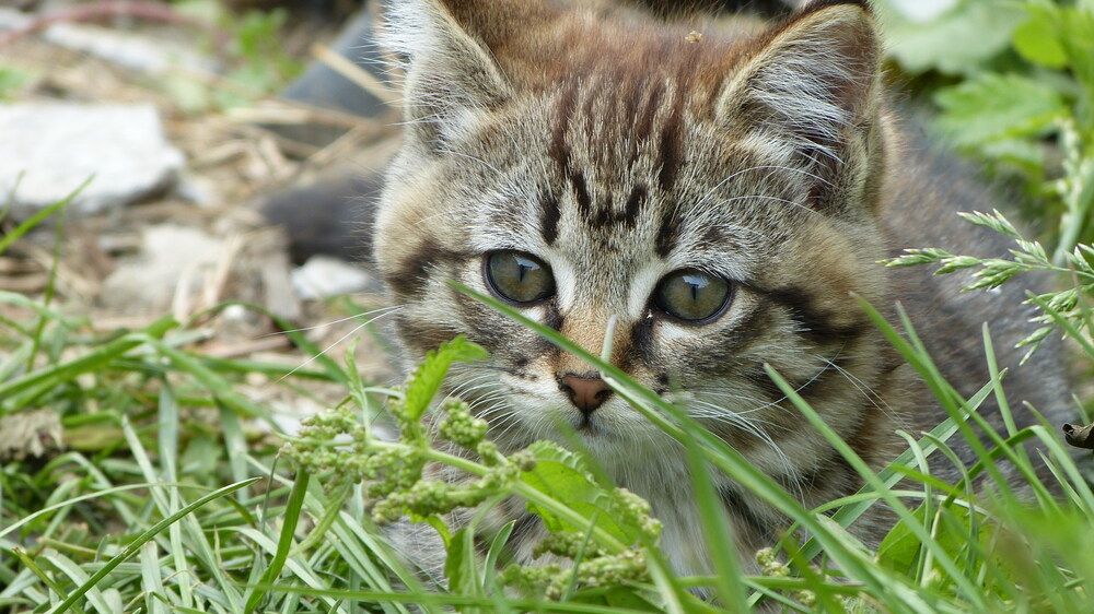 Photograph by Максим Владимирович