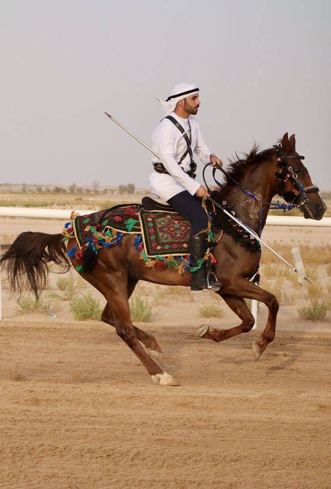Фотография автора Sarrah Yehia