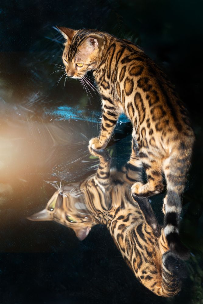 Photograph by Dinh Nguyen