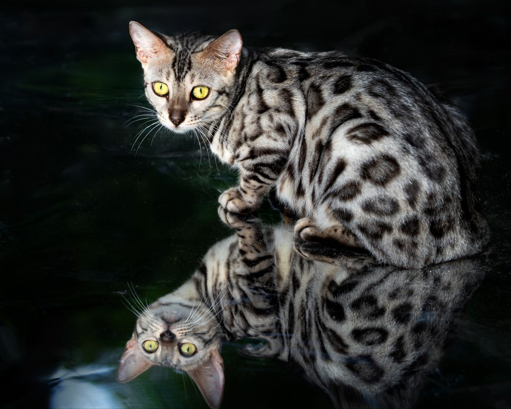 Photograph by Dinh Nguyen