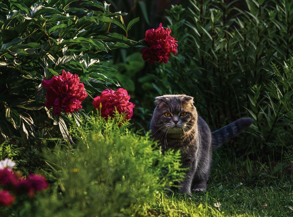 Photograph by Алексей Широбоков