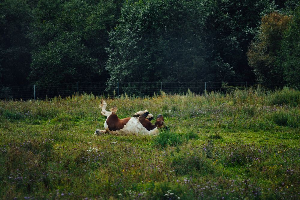 Photograph by Степоненкова Екатерина