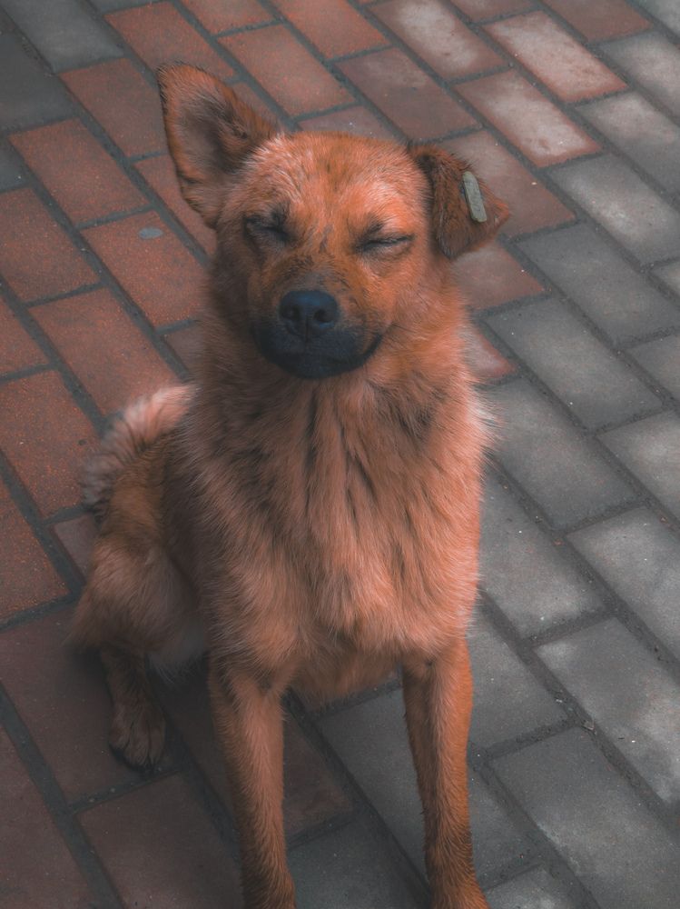 Photograph by Сергей Пыдык