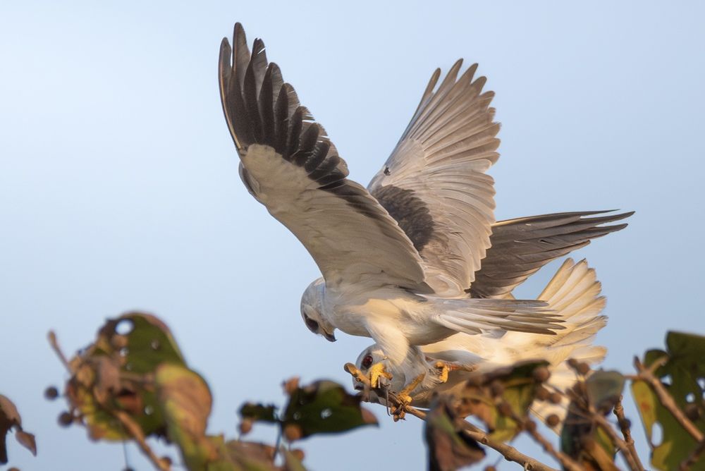 Photograph by Pritam Mandal