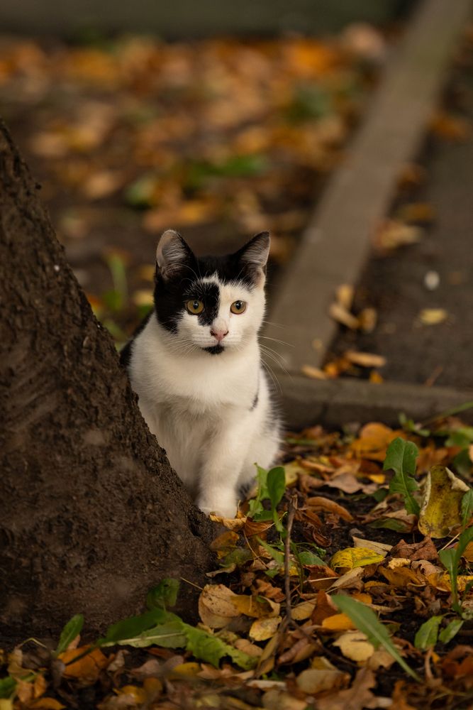 Photograph by Заломаева Надежда