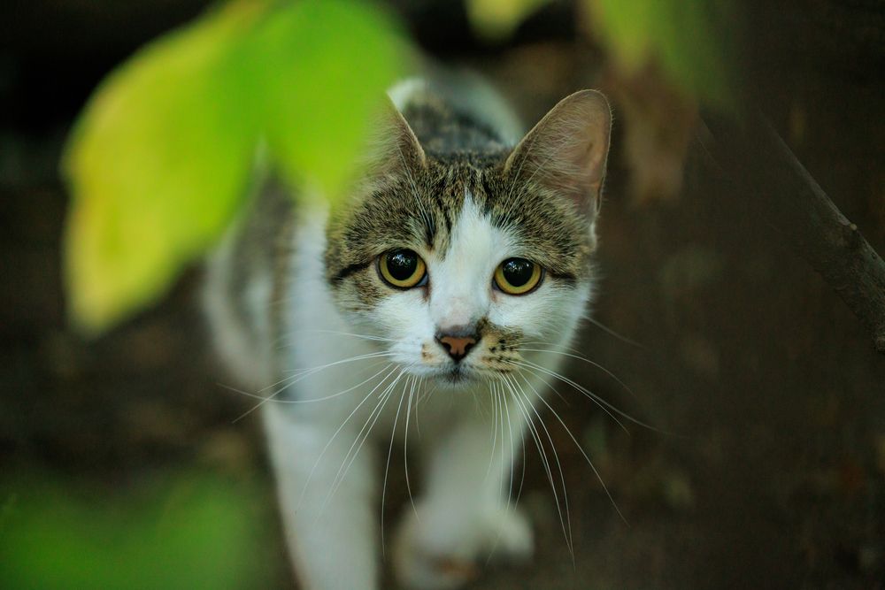 Photograph by Заломаева Надежда