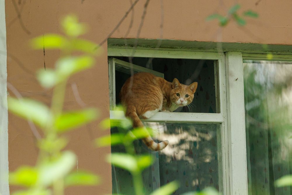 Photograph by Заломаева Надежда
