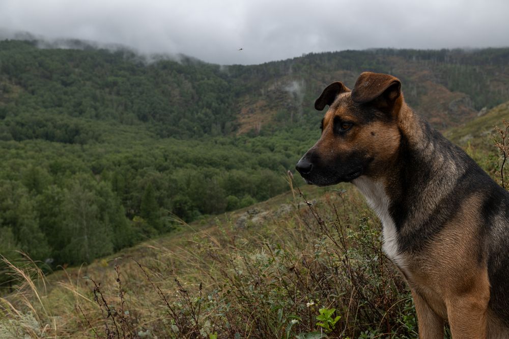 Photograph by Рослов Евгений