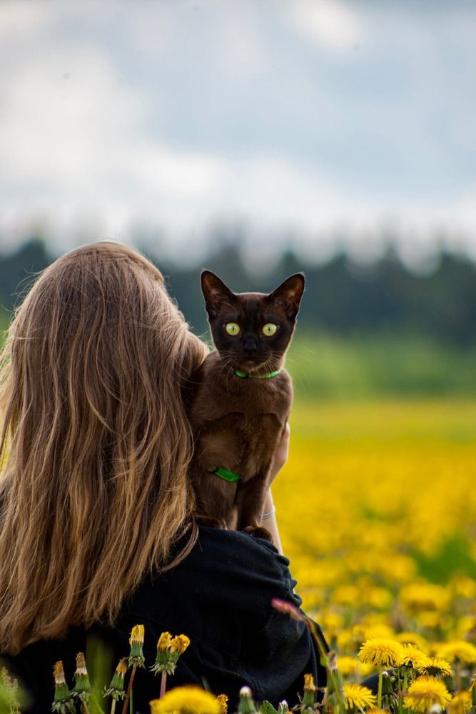 Фотография автора Сергей Арабов