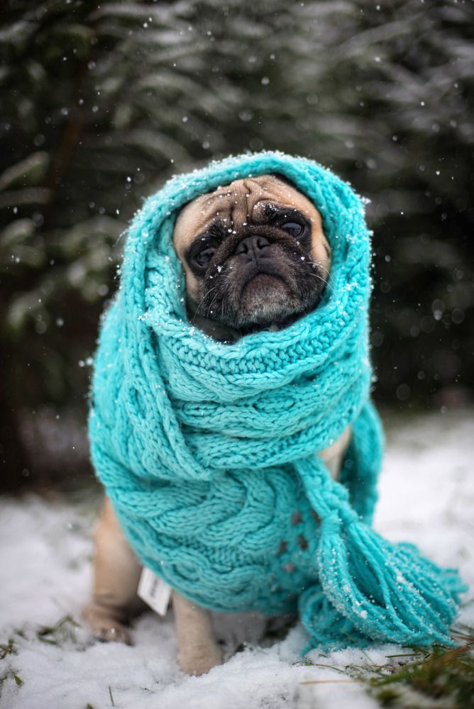 Фотография автора Сергей Арабов