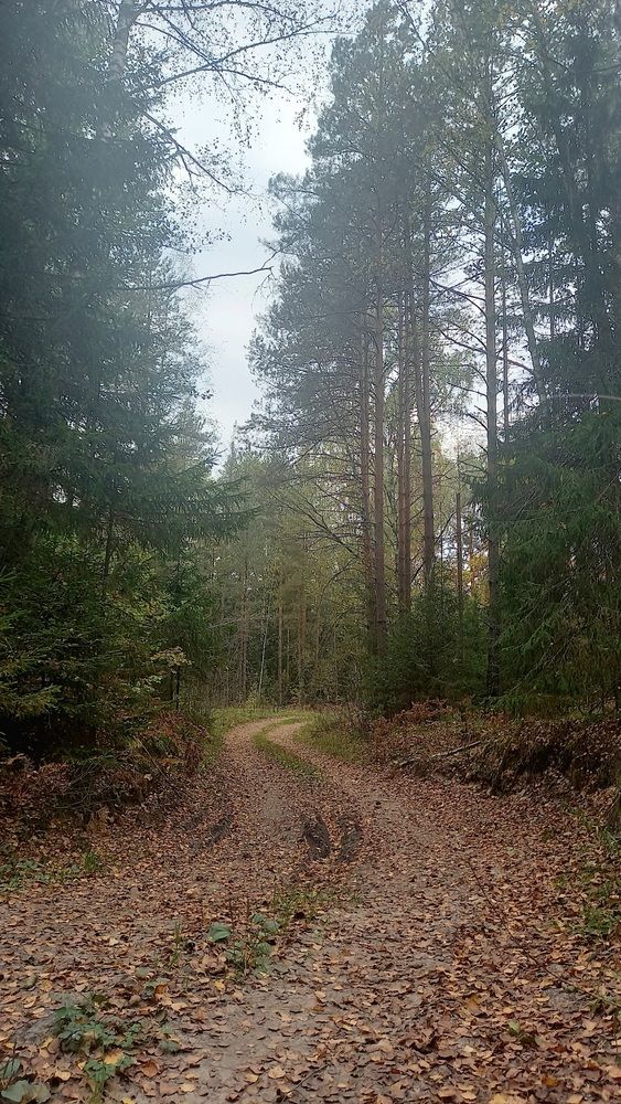Photograph by Надежда Васильева