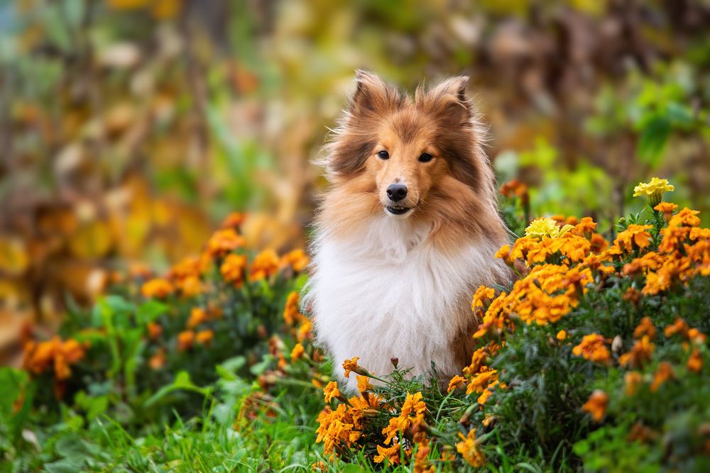 Photograph by наталья залогина