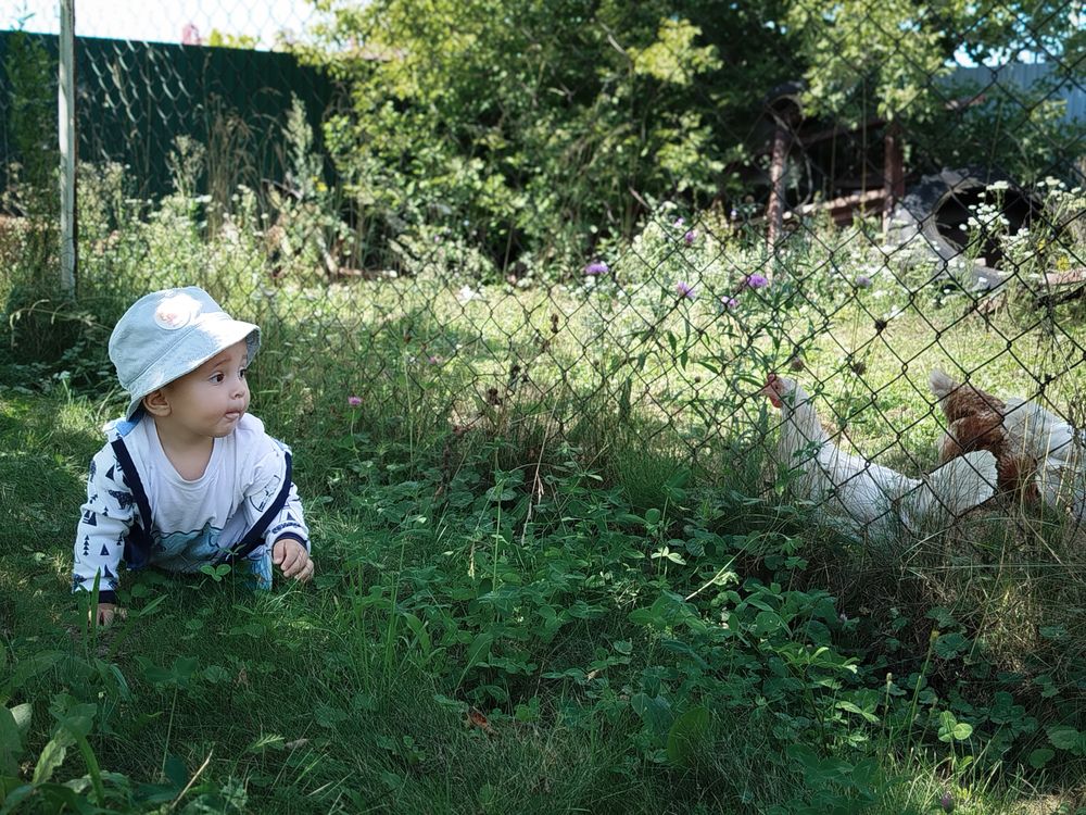 Photograph by Осянина Дарья Сергеевна