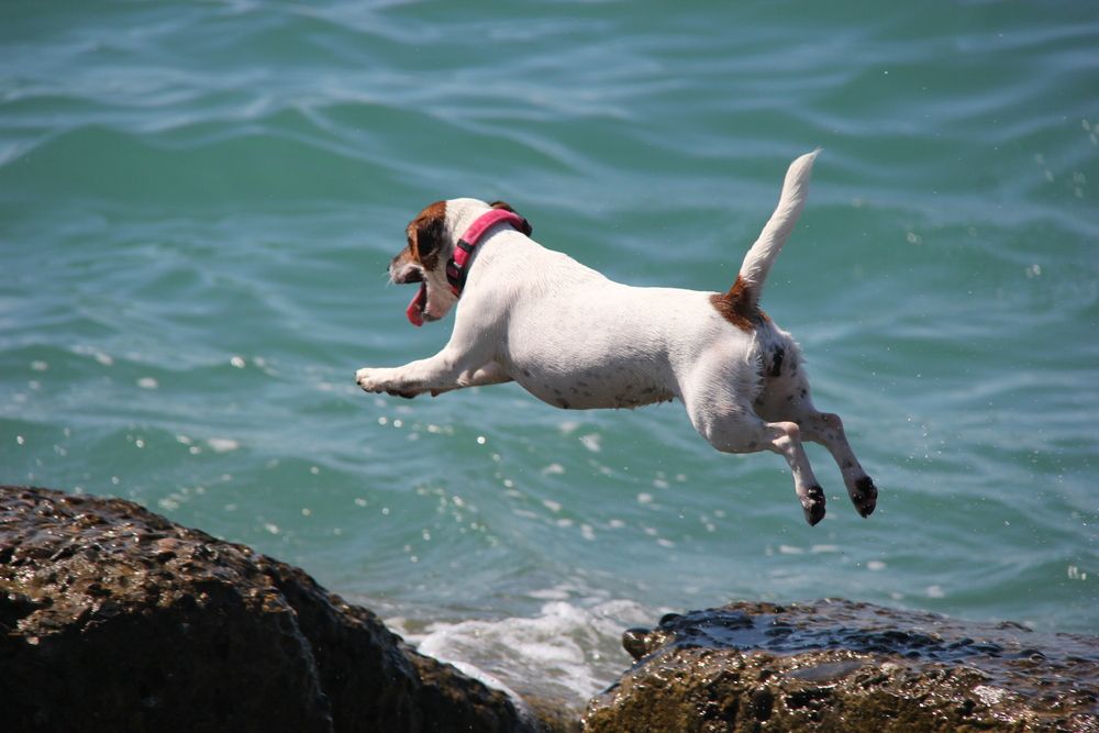 Photograph by Nikita Zorin