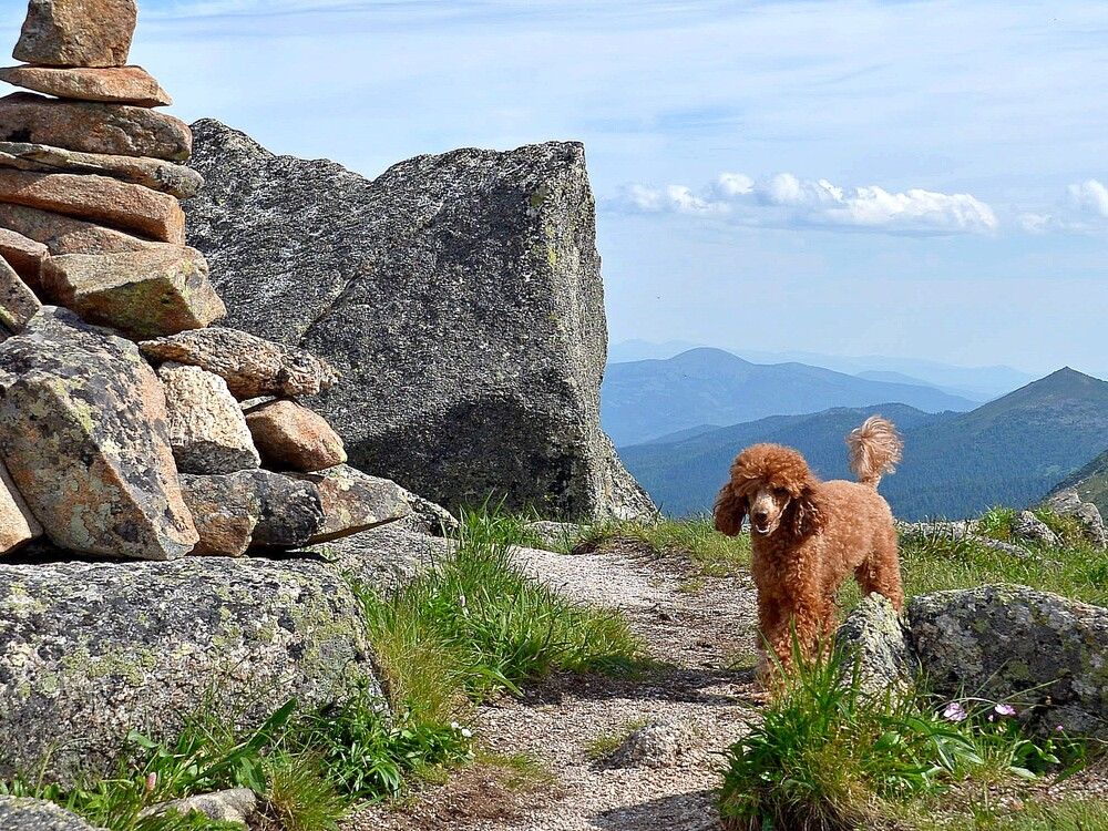 Photograph by Людмила