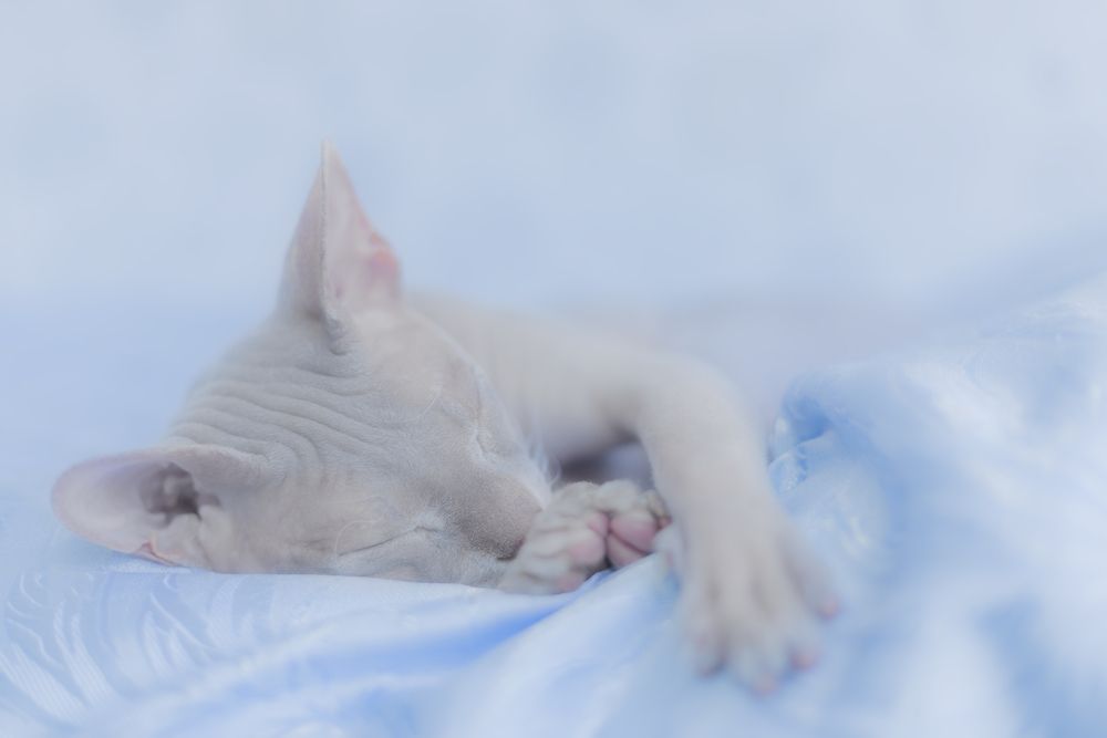 Photograph by Роман Гурененко
