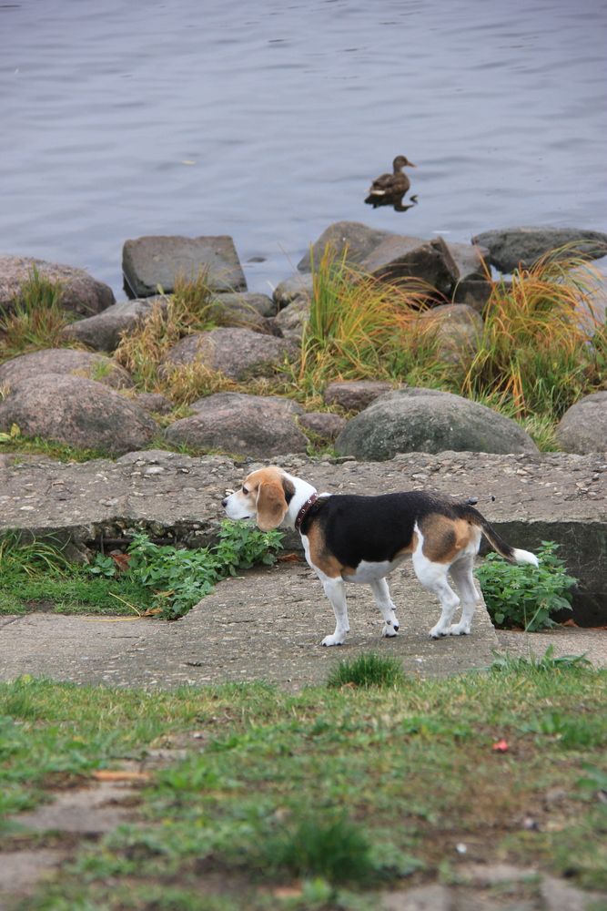 Photograph by Nikita Zorin