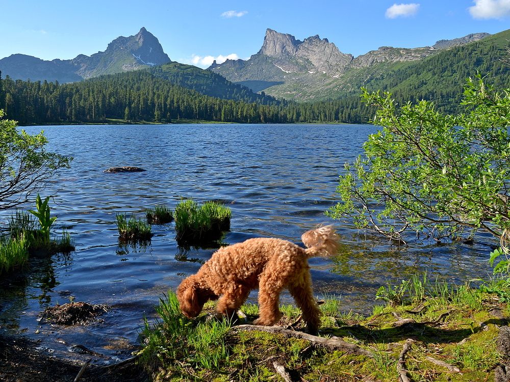 Photograph by Людмила