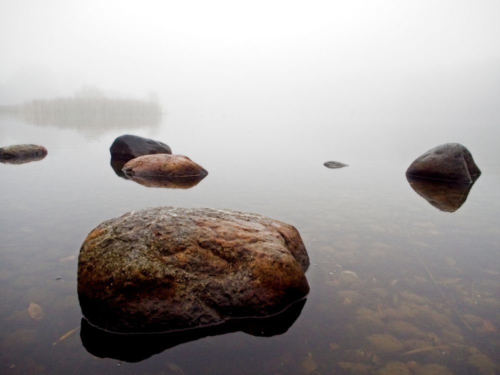 Photograph by Илюшечкина Екатерина
