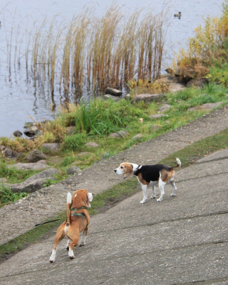 Photograph by Nikita Zorin