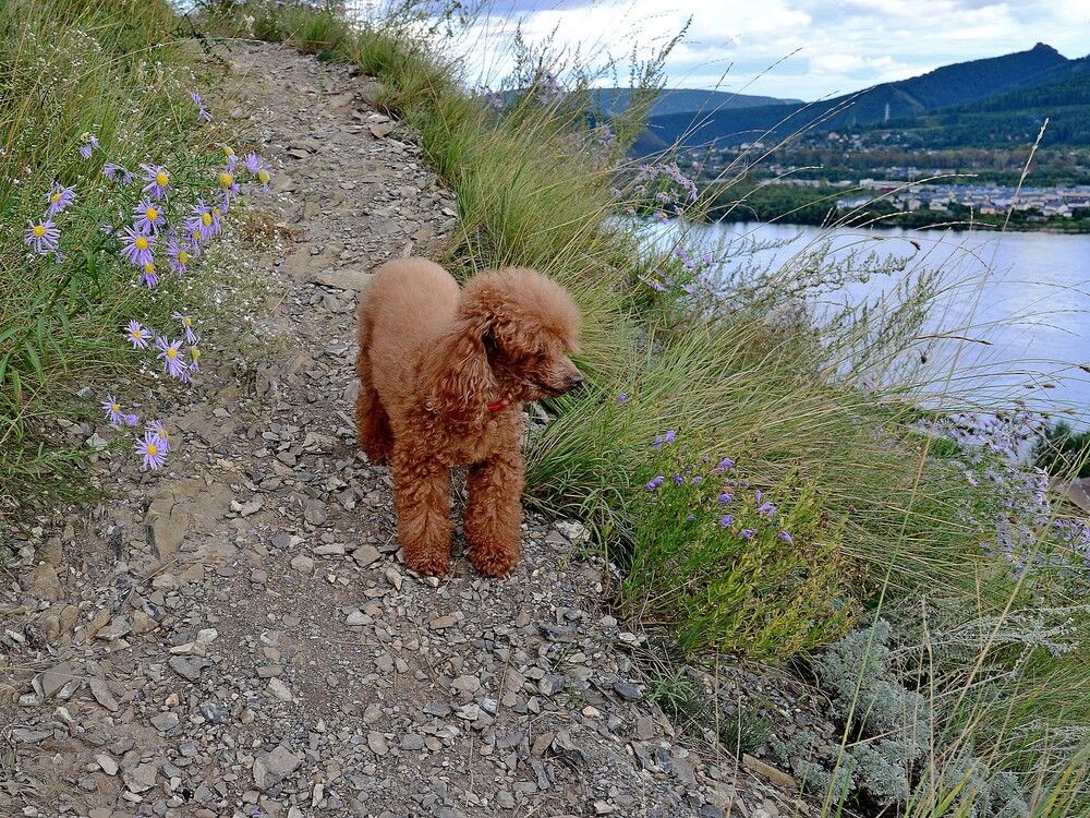 Photograph by Людмила