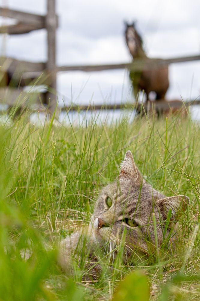 Photograph by Александр Лобынцев