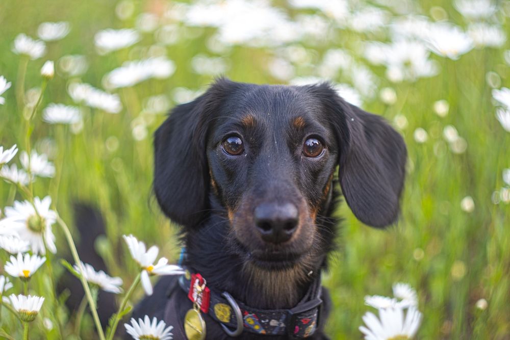 Photograph by Александр Лобынцев