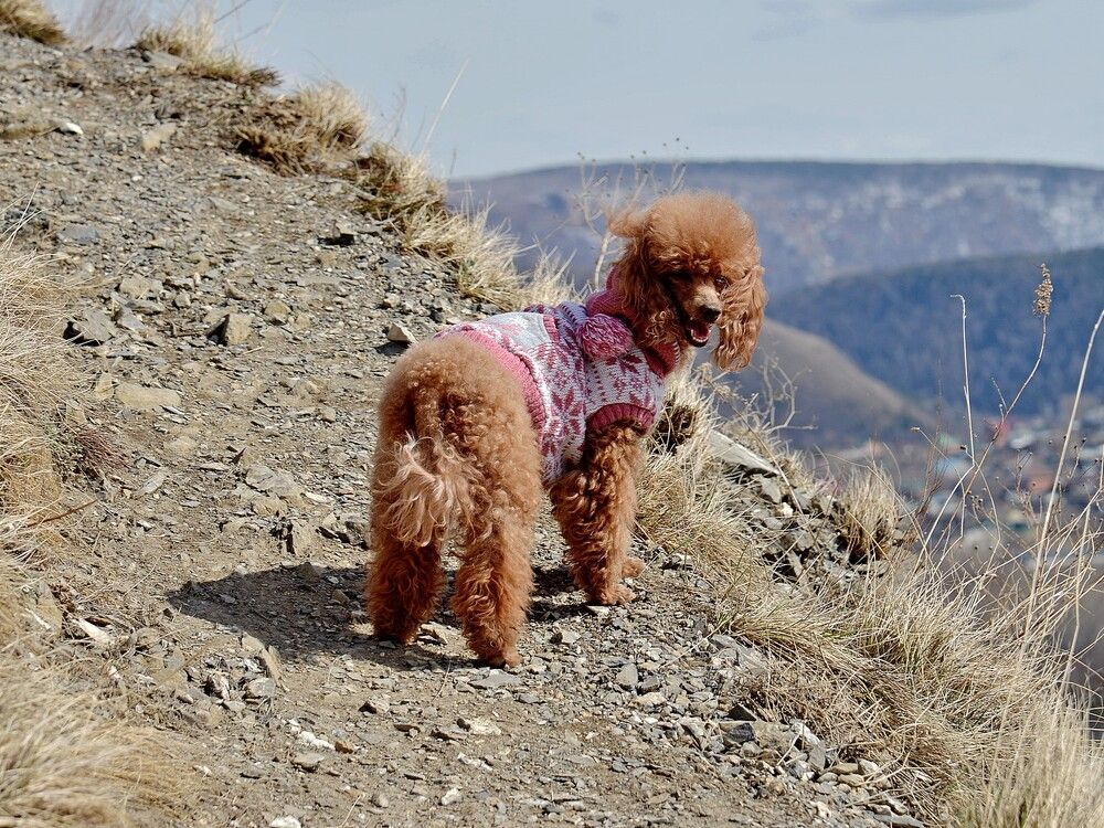 Photograph by Людмила