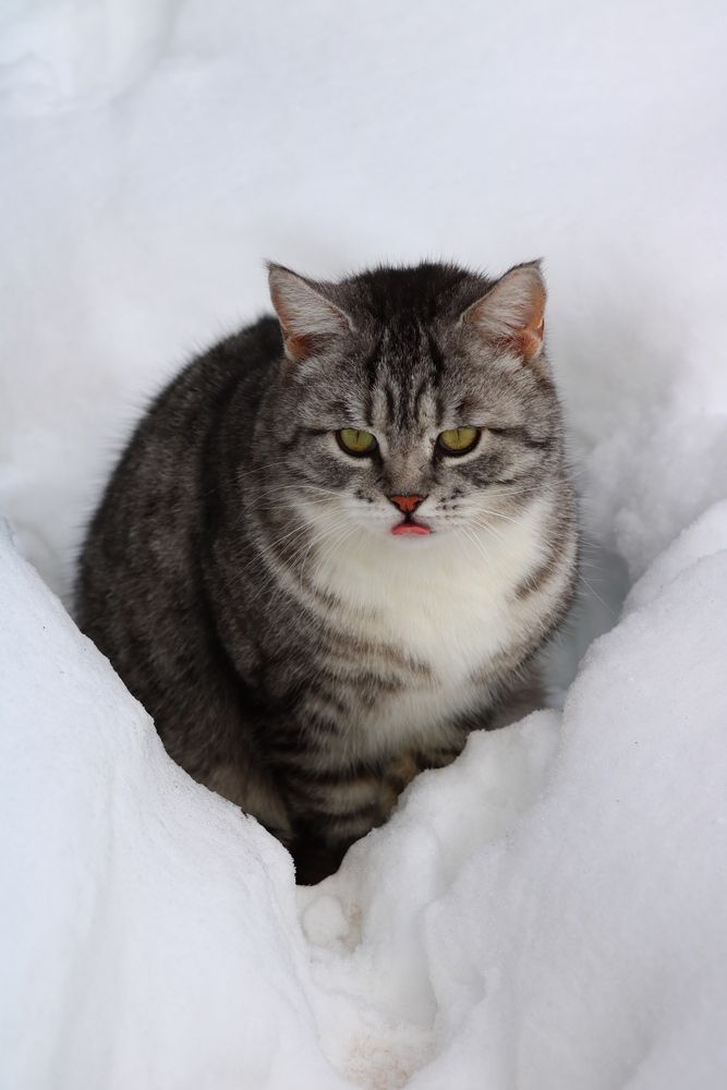 Photograph by Светлана Шуткова