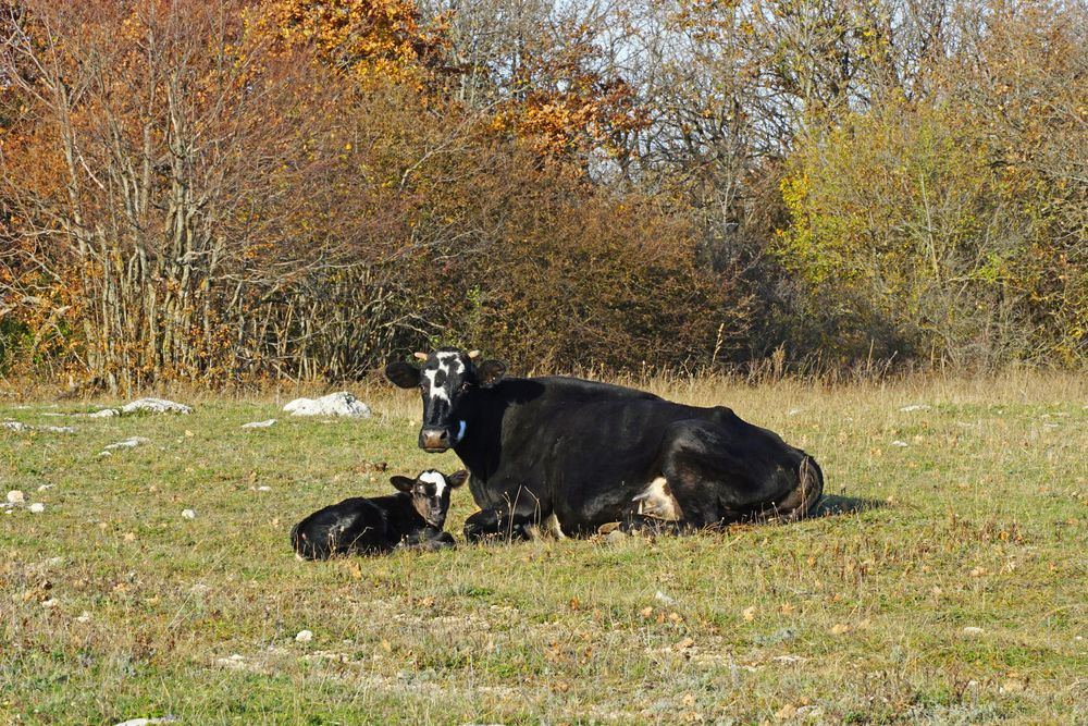 Photograph by света хлевненко