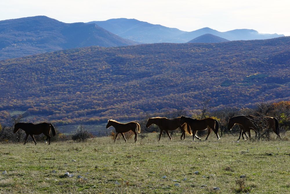 Photograph by света хлевненко