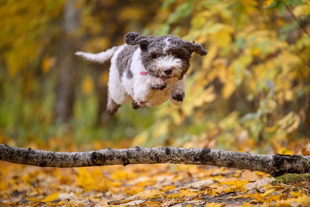 Photograph by Dmitry Ishniyazov