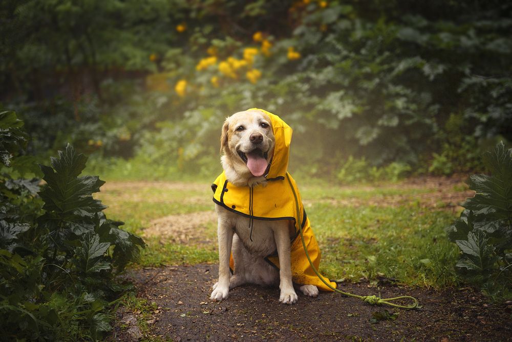 Photograph by Anna Belova