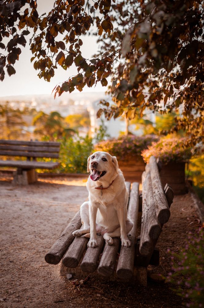 Photograph by Anna Belova