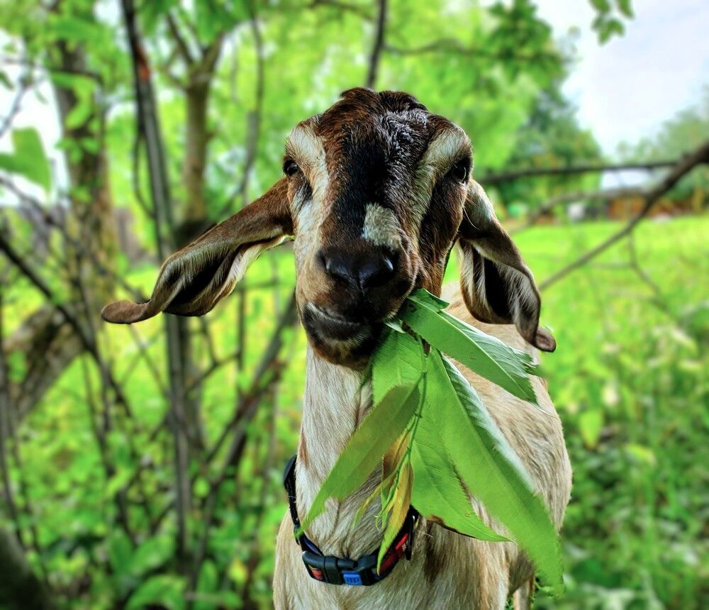 Photograph by Яна Галимуллина