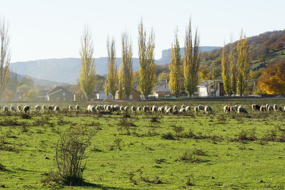 Photograph by света хлевненко