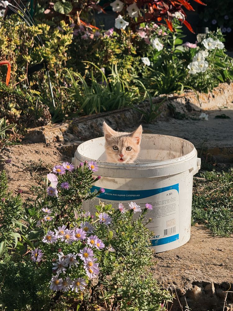 Фотография автора Мария