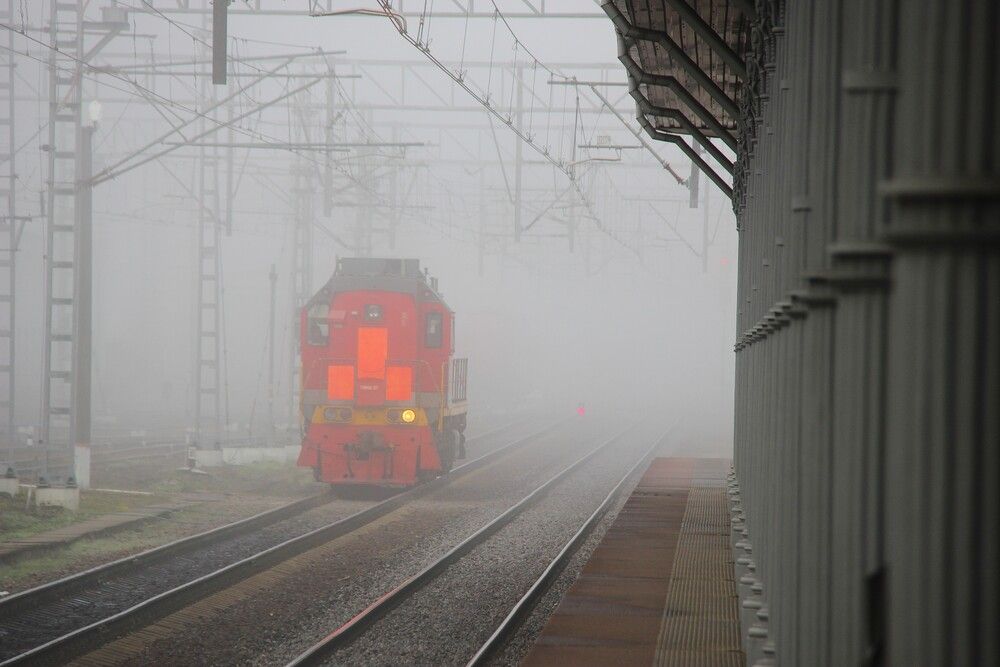 Photograph by Nikita Zorin