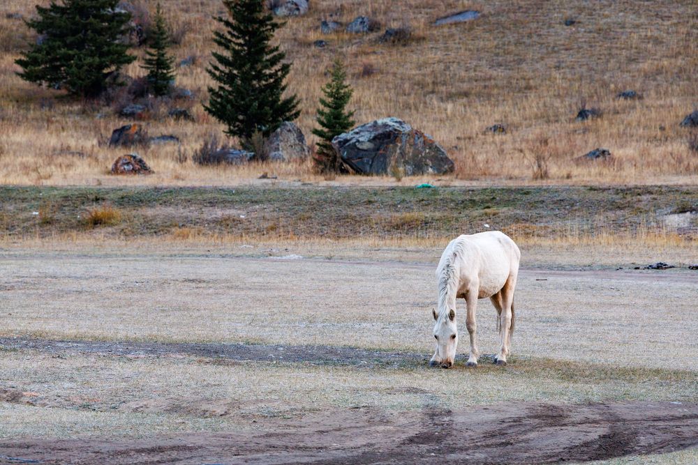 Photograph by Людмила Аксенова