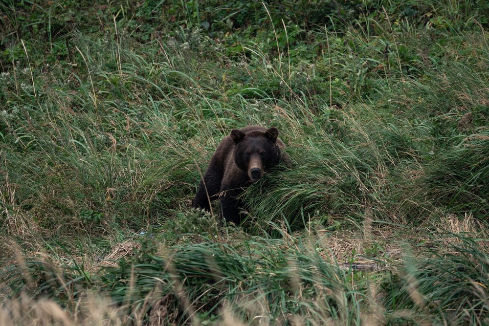 Photograph by Света Трифоненкова