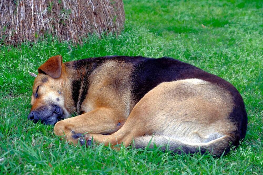 Photograph by Михаил Король