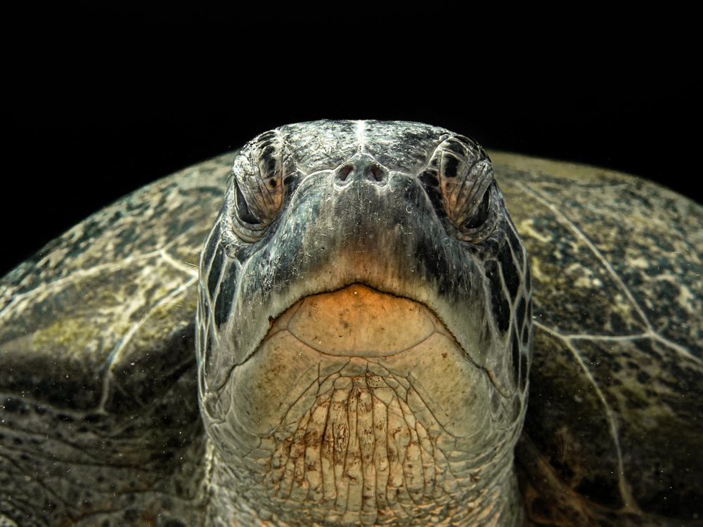 Photograph by JUAN M GUZMÁN