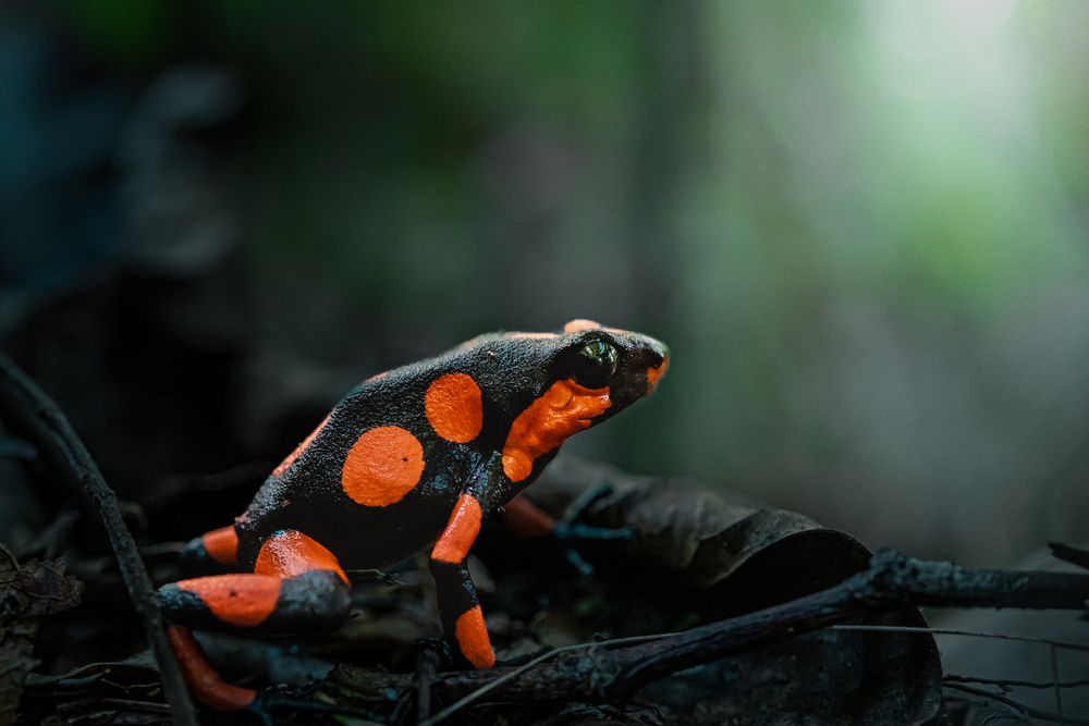 Photograph by JUAN M GUZMÁN