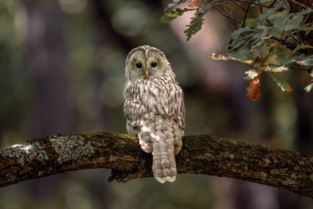 Photograph by Ширяев Константин