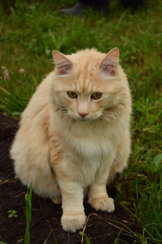 Photograph by Наталья Еременко