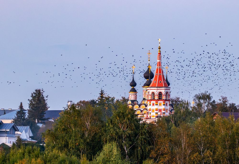 Photograph by Елена Ефимова