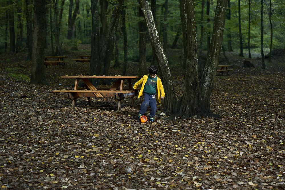 belgrad forest istanbul