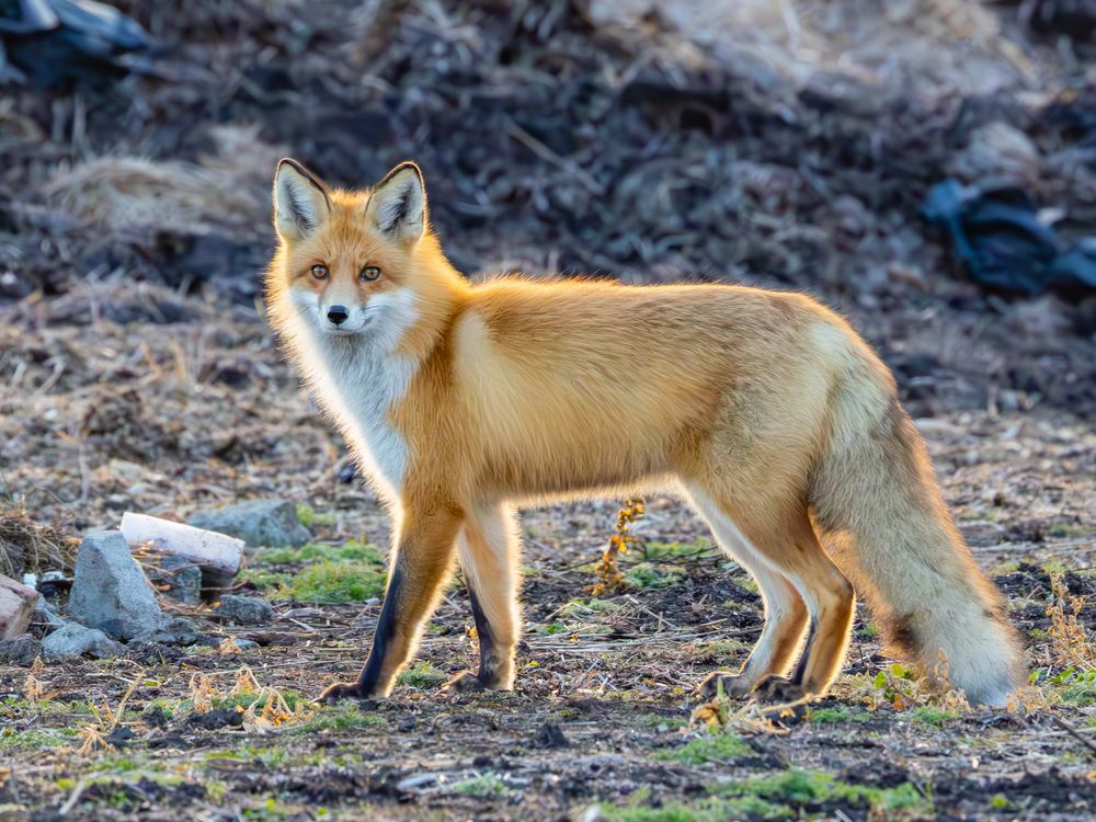 Photograph by Максим Фролов